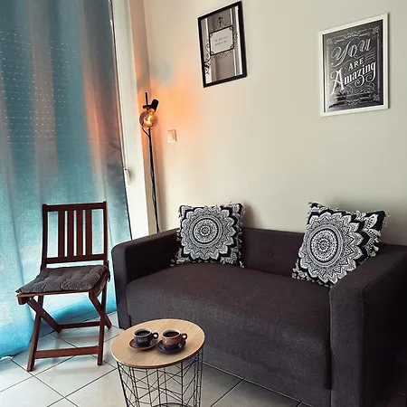 Homely Flat Near Airport Apartment