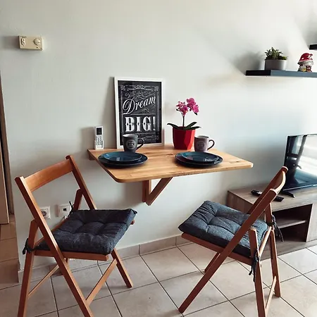 Homely Flat Near Airport Apartment *